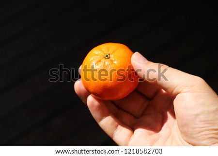 A hand holding a naartjie (tangerine). This is a popular fruit in South Africa.    