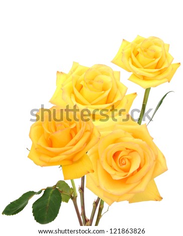 A yellow rose bouquet gift