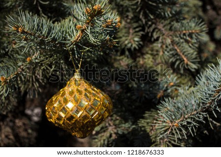  Golden christmas toy on the branches fir.