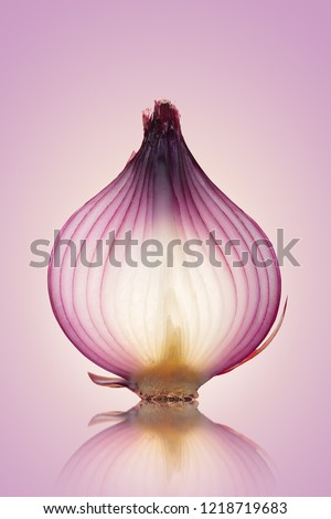 Fine Art Food image of  translucent layers in a sliced Red Onion on reflective pink purple background
