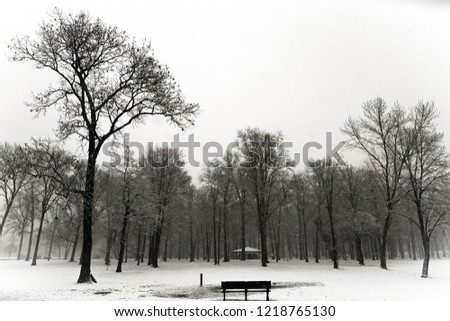 Winter landscape in Michigan.  Taken in Firefighter's park, Troy, MI