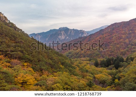 Drone Picture of Seoraksan National park in the fall.