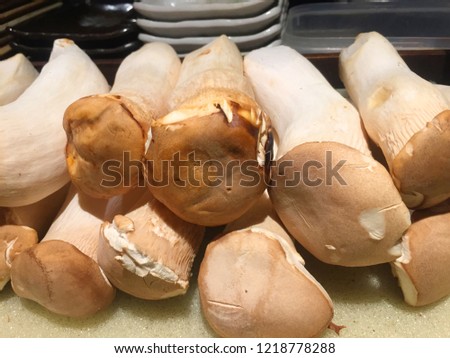 Big mushroom white and brown cap ready to cook healthy vegetarian food 