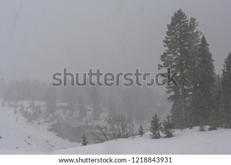 Box Canyon in a snow storm 