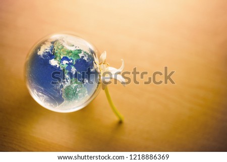 Earth glass marble with flower on wood background, happy earth day and environment safety concept, Elements of this image furnished by NASA