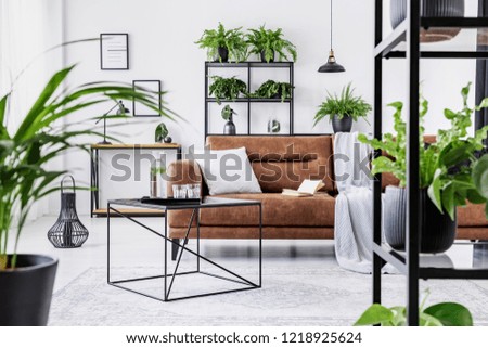 Urban jungle in modern living room interior with big comfortable leather couch and coffee table. Royalty-Free Stock Photo #1218925624