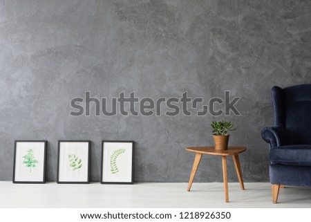 Leaf pictures in black frames next to small wooden table with pot and plant and velvet dark blue armchair, real photo with copy space on the concrete wall