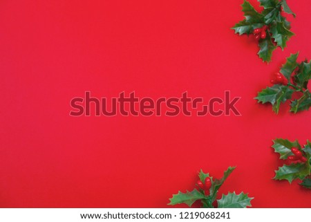 Creative Christmas layout. Mistletoe on red background whit copy space. Border arrangement. Flat lay top view.