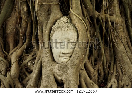 Head of Sandstone Buddha in The Tree Roots at Wat Mahathat, Ayutthaya, Thailand Royalty-Free Stock Photo #121912657