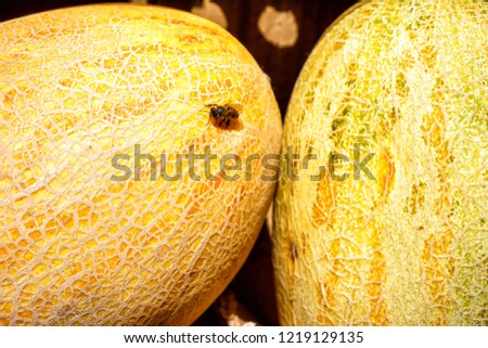 two melons near each other macro