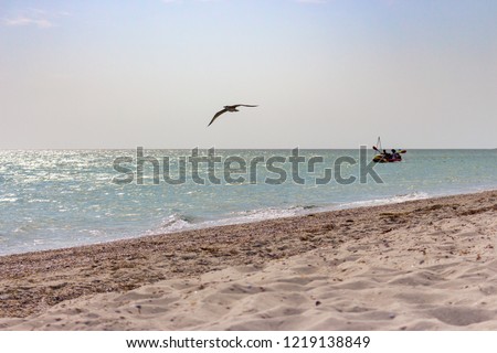 Sailing boat with flying seagull foreground and beach with white sand. Beautiful seacoast with boat and seagull. Fishing and tracel concept. Tropical landscape. Suuny day with azure sea water. Royalty-Free Stock Photo #1219138849