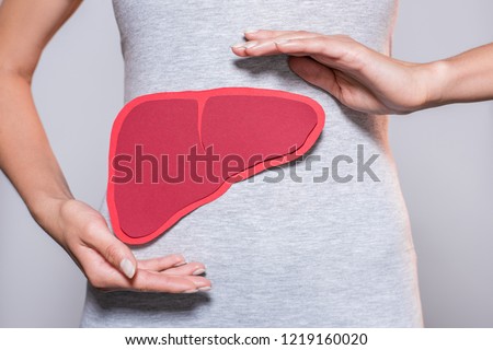 partial view of woman with paper made human liver on grey background Royalty-Free Stock Photo #1219160020