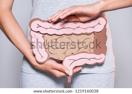 partial view of woman holding paper made large intestine on grey background Royalty-Free Stock Photo #1219160038