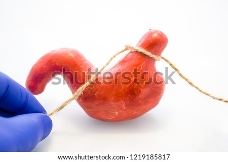 Gastric or stomach banding surgery for weight loss or treatment of diaphragmatic hernia concept photo. Doctor pinched anatomical model of stomach using rope, preventing flow of food, showing procedure Royalty-Free Stock Photo #1219185817