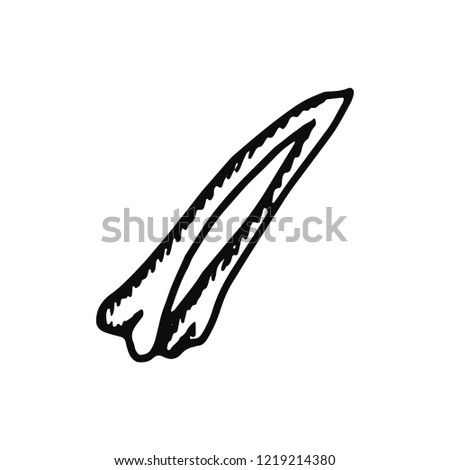 human bone icon. Isolated sketch for infographic object on light background