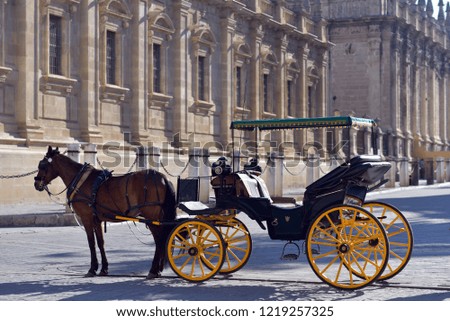 Horse carriage in Seville, the Seville cathedral in the background, Andalusia, Spain 