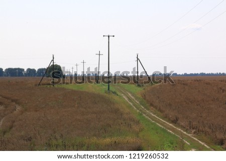Electricity lines in the field, summer