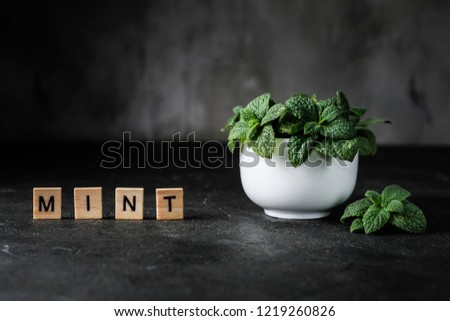 Close up of mint bunch in white vase on dark background with word "mint".