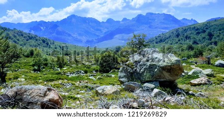 scrub landscape with mountain background on Corsica GR20 trail
