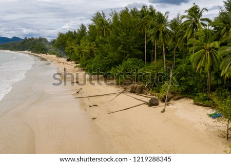 Aerial drone view of a beautiful empty tree lined tropical beach
