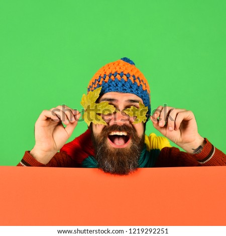 October and November time idea. Hipster with beard and happy face closes eyes with leaf. Man in hat holds maple tree leaves on green and orange background, copy space. Autumn and cold weather concept