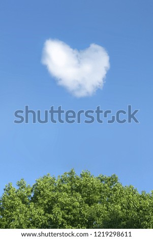 Empty background - The Tree under blue sky in a sunny day