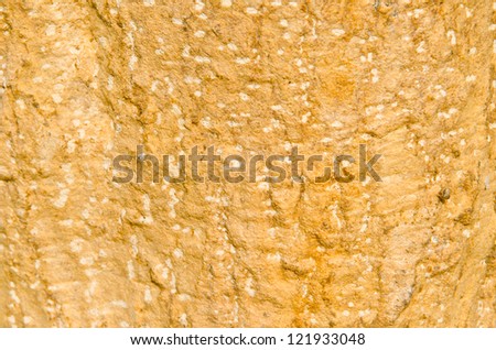 Texture of yellow wood, Thailand.