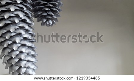 large fir cones on a beige background for postcard