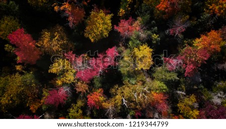 Adirondack's Autumn Skies