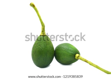 Avocado fruit on white background.