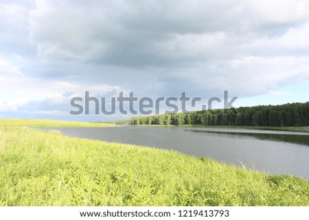 Summer landscape on the river 