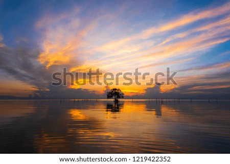 Lonely tree in the lagoon at sunrise sky.