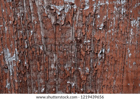 
Old plank wooden wall background. The texture of old wood. Weathered piece of wood.