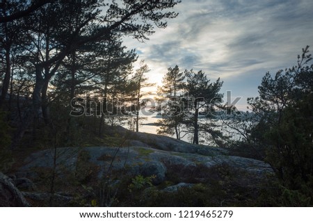 Beautiful sunset at autumn evening in Stendorren, Nykoping, Sweden Scandinavia. Sea, forest and nice sky. Calm, peaceful and joyful background image.