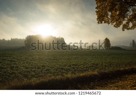 Beautiful sunrise at autumn morning in Sweden Scandinavia. Calm, peaceful and joyful background image of nice nature and landscape.