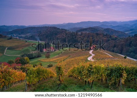 Famous Slovenian Heart shaped wine road in Slovenia in autumn, Heart form - Herzerl Strase  in sunset, surrounded with vineyards in autumn; Dreisiebner