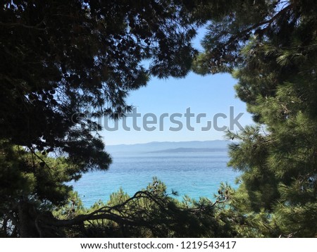 View of the Adriatic sea and the blue sky, through a hole in the pine trees, in the summer in Bol, Brac island, Croatia