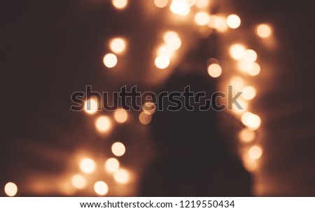 blurred silhouette of girl in hat on garland background in low key