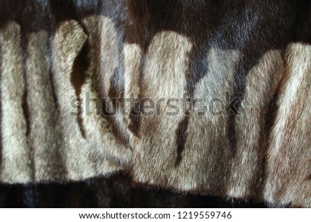 Mink coat. Fur. Background. Texture.