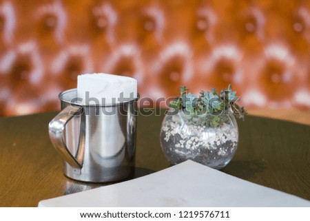 close up picture of succulents stand on the table in cafe, interior decorations with plants