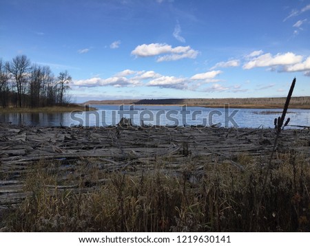 Lake of Driftwood-Upper Peninsula, Michigan