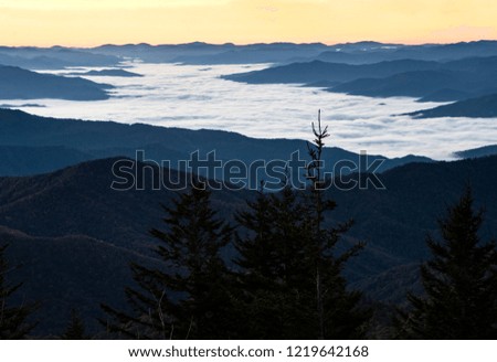 Fog lies over the mountain ridges of Clingman's Dome in the Smokies.