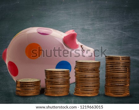 saving money in piggy bank pig , business concept , filling money with piggy bank.