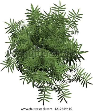 Plant & Tree overhead / top view isolated on white backround perfect use for colour floor plans as symbols and icons