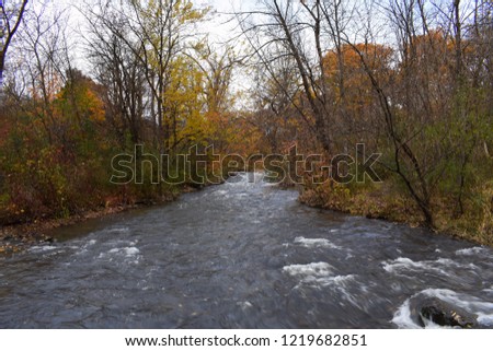 River running through the autumn trees