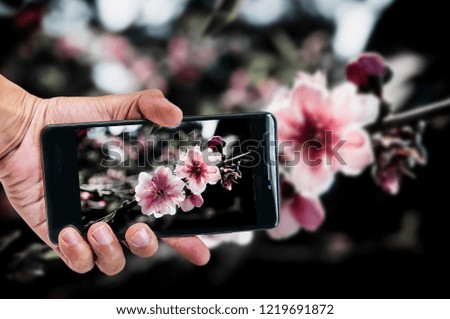 Mobile photography concept. hand holding smartphone and taking photo 