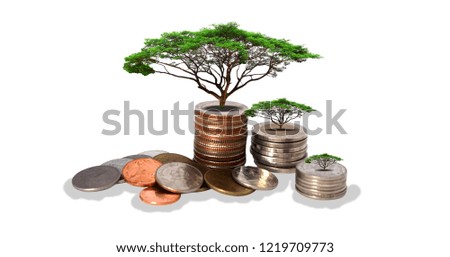 
growing plant on a row of coin money for finance and economic and banking concepts separately on a white background. financial growth, plant on pile coins with background. with clipping path.
