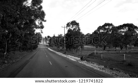 North-western Australia country road in the morning in black and white.