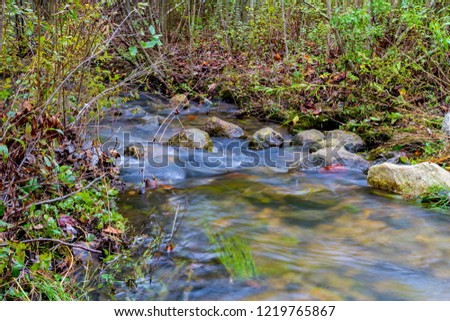 Fresh Spring Water Forest Meadow, Long Exposure