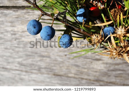 Christmas wreath with wild berries (thorn berries and dry leaves), gray wooden surface, close up detail